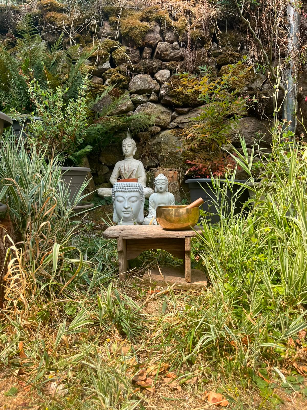 Qi Gong